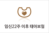 임신22주이후태아보험